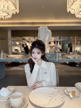 【非质量问题不退】PP02-MIUMIU镂空针织polo长袖开衫(BL*PP)