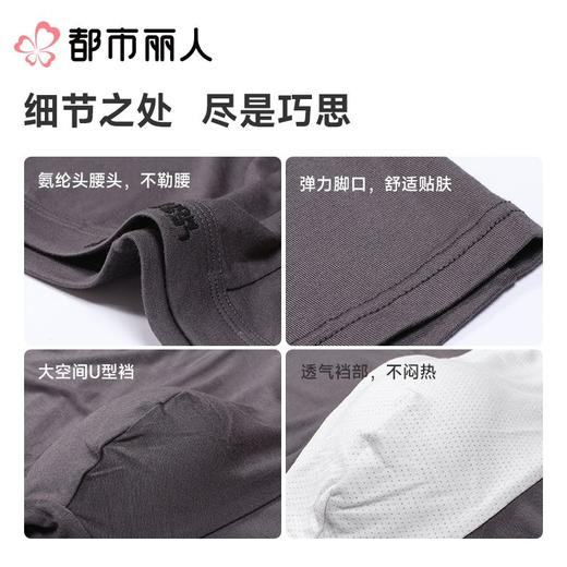都市丽人内裤男士内裤40S人棉内裤人棉平角内裤氨纶头内裤FKCG01 商品图3