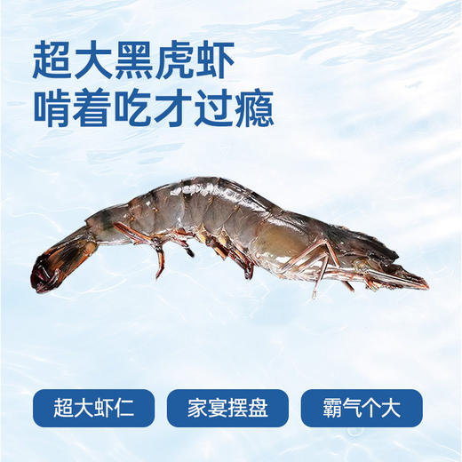 【渔礼记泰国活冻黑虎虾礼盒】壳薄肉嫩 晶莹剔透原装级品质大虾（2.5斤） 商品图2