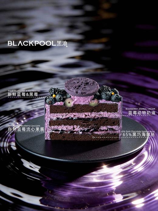 水瓶座.流光-黑巧双莓软忌廉 黑池 商品图3