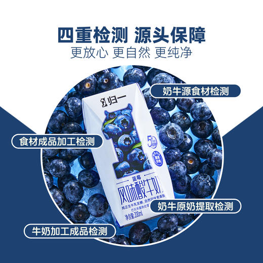 归一蓝莓风味酸牛奶200mL*12盒*2箱生牛乳发酵酸奶 商品图3
