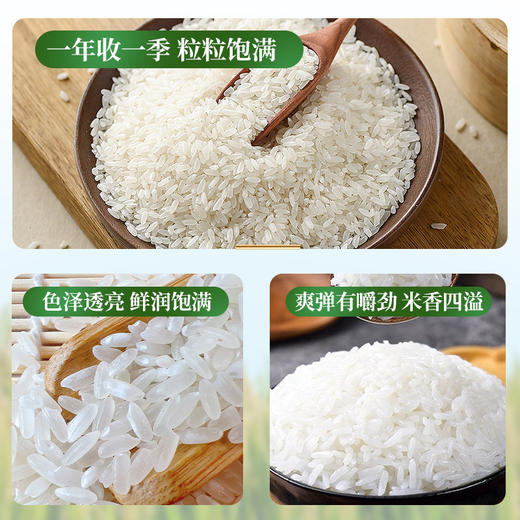 玖成红蓝色高端 纸塑五常大米 商品图1