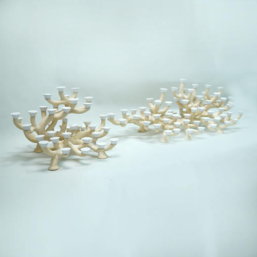 200缸枝状烧制造景 商品图12