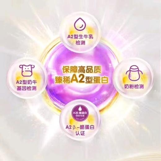 伊利金领冠珍护较大婴儿配方奶粉(6-12个月,2段)800克*6罐 商品图2