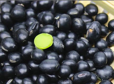 河谷上方 小黑豆500g*4袋 商品图4