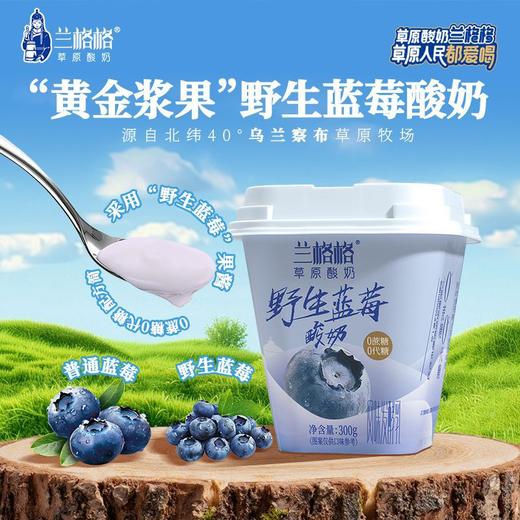 兰格格300g野生蓝莓草原酸奶 商品图0