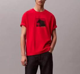 CKJ  男  T恤  4LE290GXAT