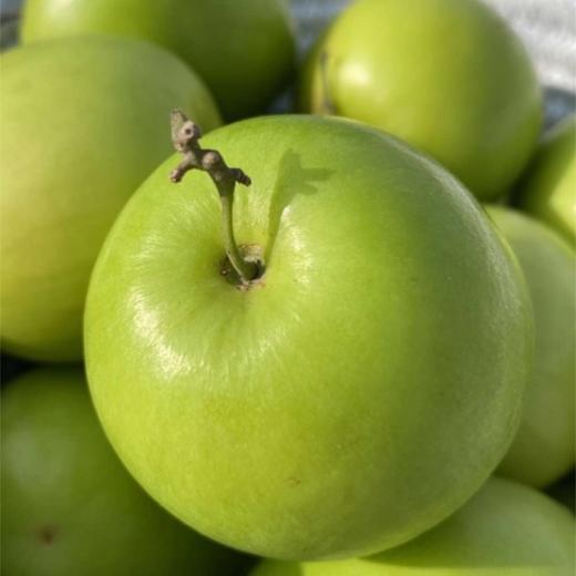 菜头商城 云南西双版纳苹果蜜枣 礼盒装（16枚一级果） 商品图4