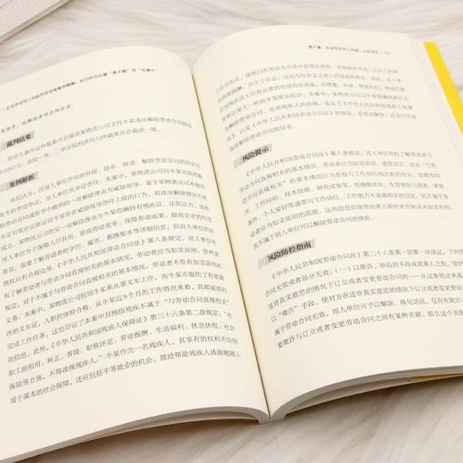 企业劳动用工风险防控指南案例精解:如何防范化解黑天鹅和灰犀牛 商品图4