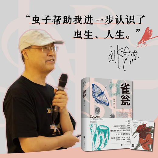 雀瓮 商品图2