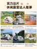 【金皇会员355金币专享】骆驼（CAMEL）帐篷户外便携式折叠野营露营公园野餐全自动帐篷【山系熊猫】 商品缩略图3