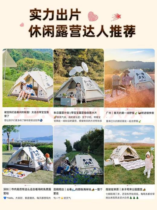 【金皇会员355金币专享】骆驼（CAMEL）帐篷户外便携式折叠野营露营公园野餐全自动帐篷【山系熊猫】 商品图3