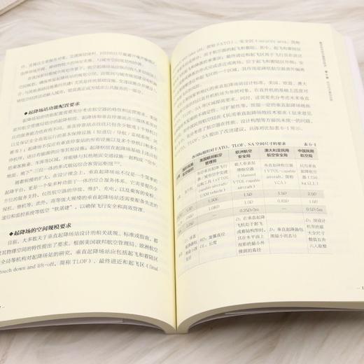 数字时代的中国低空经济 商品图4