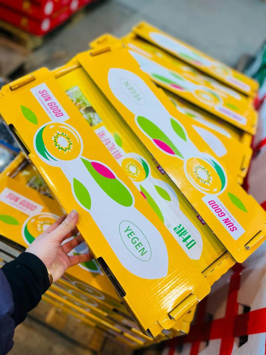 🌟满满维C～活力十足🍃国产金果20#🧡，金黄的个头，活脱脱像个小太阳🔆
光滑轻薄的果皮包裹着丰腴果肉🤤每天一颗～顶起VC一片天👍 商品图3