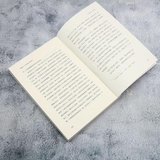 阿鲁辛·邓巴最后的季风(全2册) 商品图4