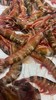 本港红剑虾🦐个头不大，但是肉质特别鲜美Q弹，清香味十足～😋【活冻】 商品缩略图3