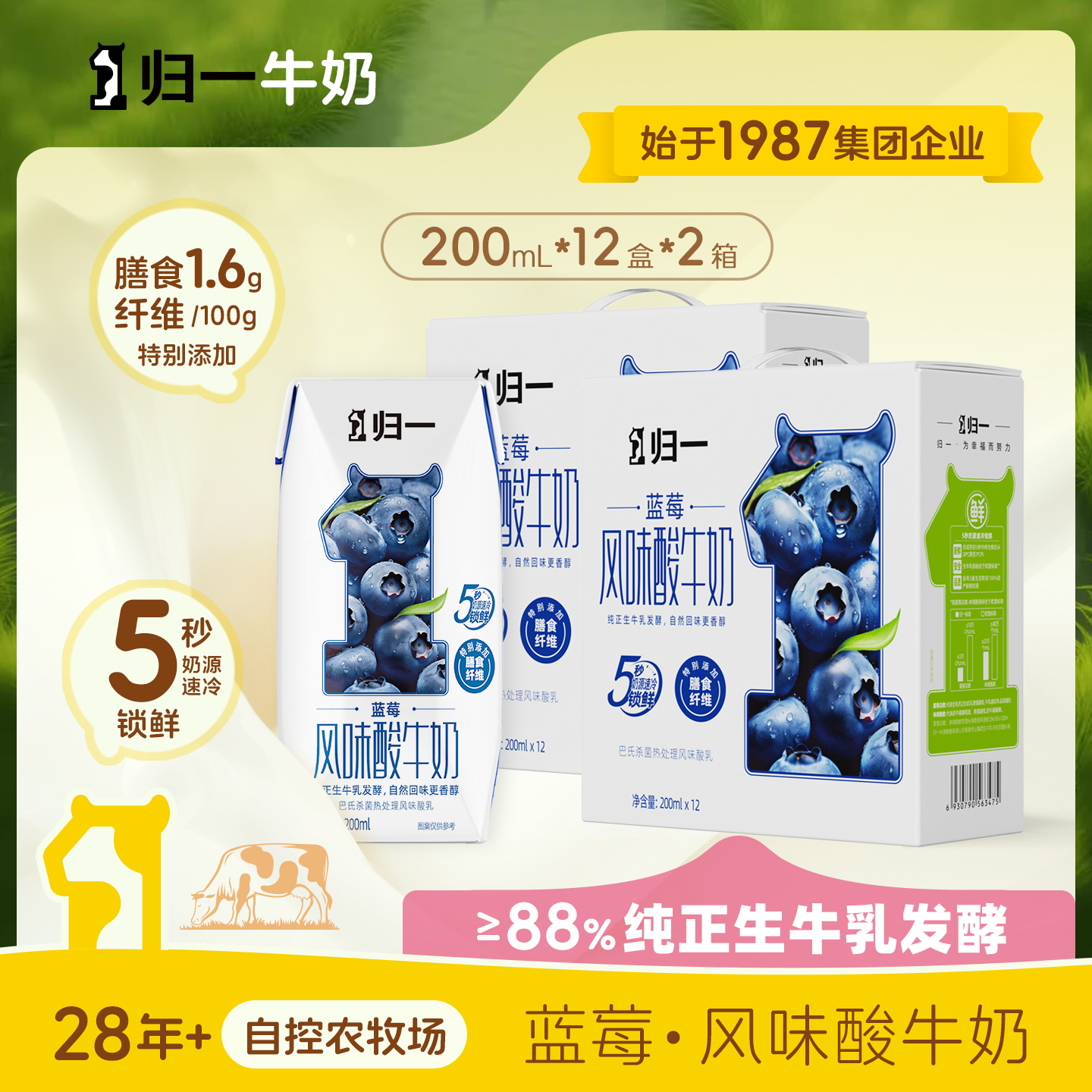 归一蓝莓风味酸牛奶200mL*12盒*2箱生牛乳发酵酸奶