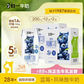 归一蓝莓风味酸牛奶200mL*12盒*2箱生牛乳发酵酸奶