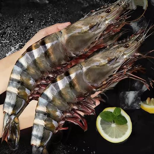 年货高端海鲜礼盒 新鲜捕捞海鲜组合 顺丰冷链包邮到家 商品图3