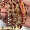 本港红剑虾🦐个头不大，但是肉质特别鲜美Q弹，清香味十足～😋【活冻】 商品缩略图0