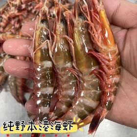本港红剑虾🦐个头不大，但是肉质特别鲜美Q弹，清香味十足～😋【活冻】