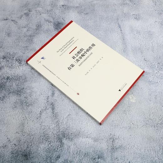 社会组织在第三次分配中的作用:促进共同富裕的浙江经验 商品图1