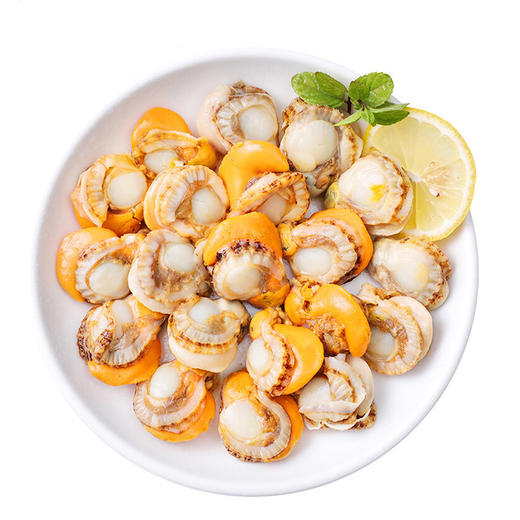  冷冻锁鲜【鲜剥长岛扇贝肉】北城红贝 个大饱满 黄大肉肥 商品图4