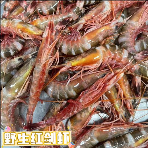本港红剑虾🦐个头不大，但是肉质特别鲜美Q弹，清香味十足～😋【活冻】 商品图1