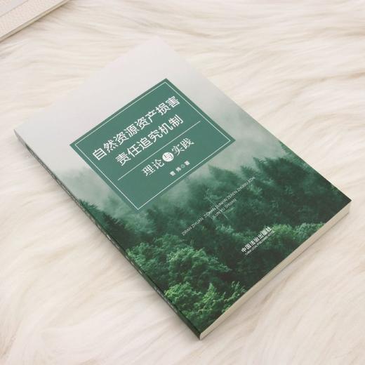 自然资源资产损害责任追究机制:理论与实践 商品图1