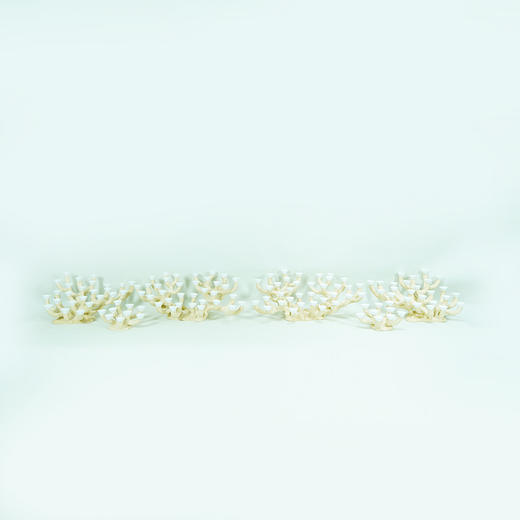 200缸枝状烧制造景 商品图6