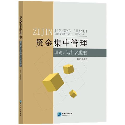 资金集中管理:理论 运行及监管 商品图0