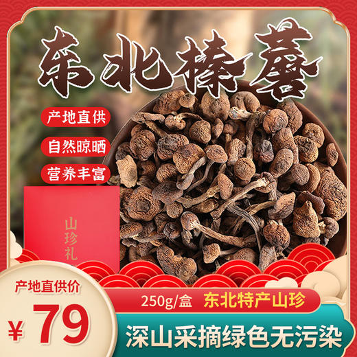 东北特产【东北山珍特产礼盒】长白山榛蘑  山珍榛蘑干货250g 礼盒装（红盒包装）2盒立减10元送礼袋 节日送礼优选 东北特产山珍山货 深山采摘 自然晾晒 商品图0