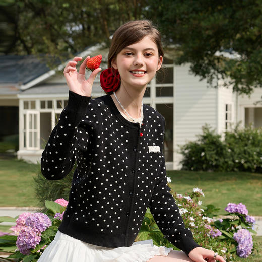 三彩独醒2026春季新款复古波点假两件针织衫圆领毛衫长袖休闲F 商品图2