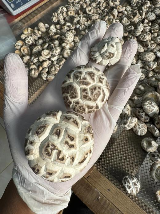 供港花菇，港款雪中冬花菇 拥有素鲍鱼之美誉 深山栎木与山泉水滋养 菇粉厚实 一斤干能泡7-8斤 去菇柄发货基地直邮 商品图5