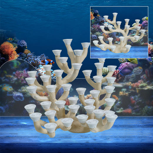 60缸枝状烧制造景 商品图5