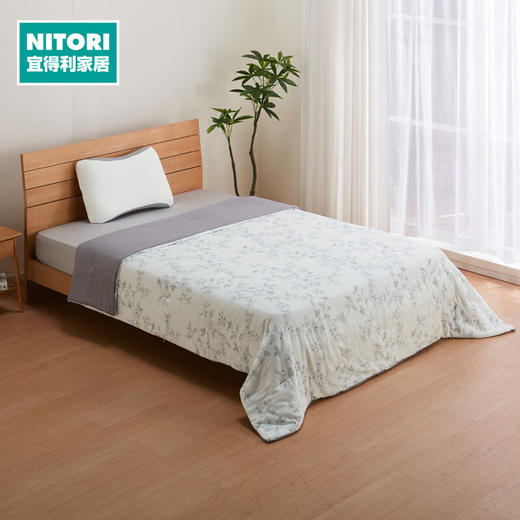 NITORI宜得利家居 纯棉全棉盖被里棉外棉可水洗全棉被 商品图0