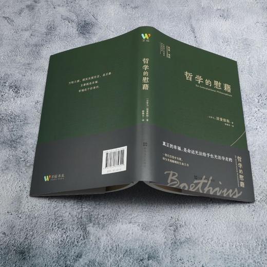 哲学的慰藉 商品图3