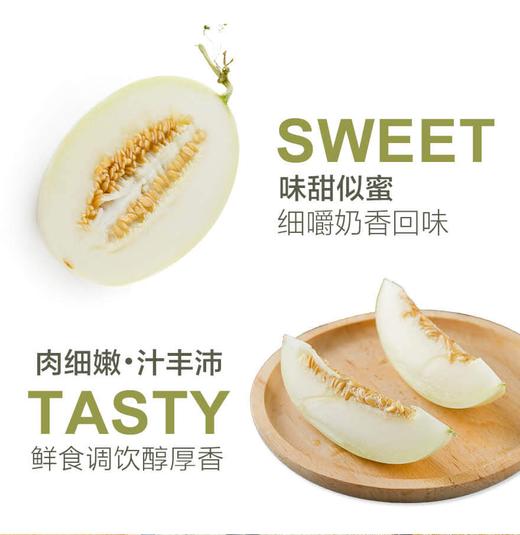 【分销】【原产地直发】海南蜜瓜/豹纹珈狮蜜瓜/冰糖脆梨甜瓜/金美人蜜瓜/倾帝蜜瓜 来自海南核心产区 让甜度与清爽感达到完美平衡 商品图2