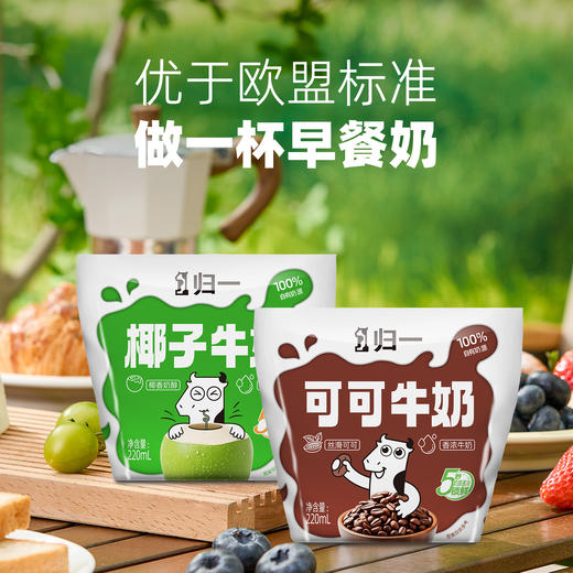 归一甜牛奶220mL可可草莓椰子味80%牛乳营养风味早餐奶 商品图1
