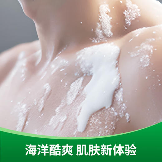 滴露 沐浴露海洋酷爽950g 商品图4