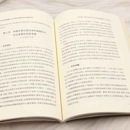 欠发达地区新型城镇化与乡村振兴战略协同共进路径研究 商品图4