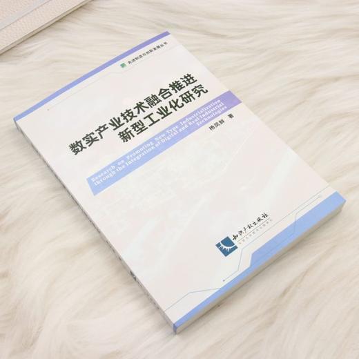 数实产业技术融合推进新型工业化研究 商品图1