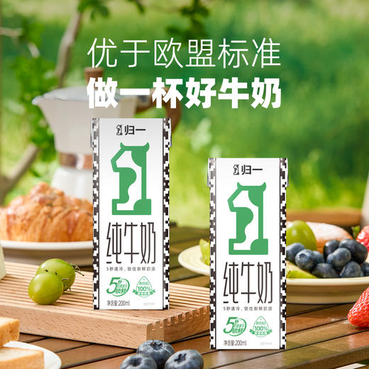 归一纯牛奶200mL*12盒*2箱全脂灭菌100%生牛乳 商品图2