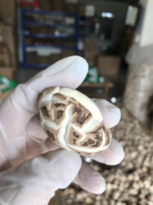 供港花菇，港款雪中冬花菇 拥有素鲍鱼之美誉 深山栎木与山泉水滋养 菇粉厚实 一斤干能泡7-8斤 去菇柄发货基地直邮 商品图2