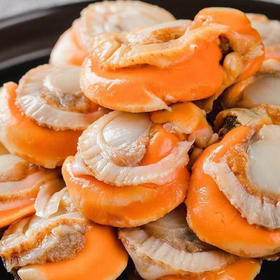  冷冻锁鲜【鲜剥长岛扇贝肉】北城红贝 个大饱满 黄大肉肥