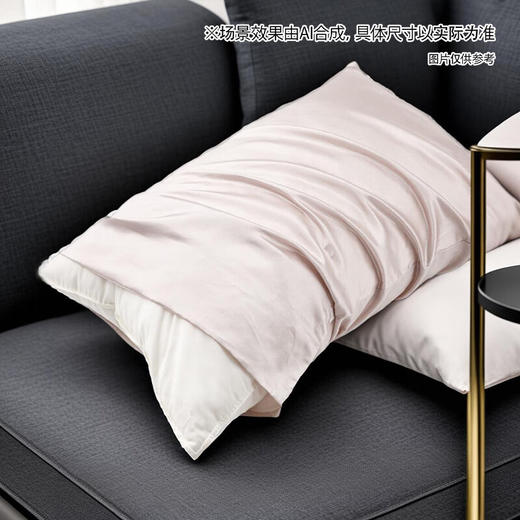 NITORI宜得利家居 简约纯色床上用品卧室家用蚕丝混枕套 商品图1