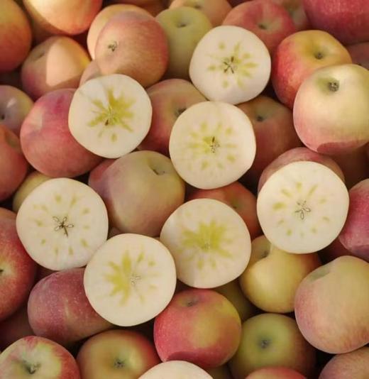 【阿克苏冰糖心苹果】正宗红旗坡核心产地，历经 3 次霜降，才有这如花般的“心”，甜得很，入口无渣，嘎嘣脆！ 商品图8