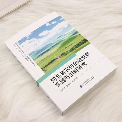 河北省农村金融发展实践与创新研究 商品图1