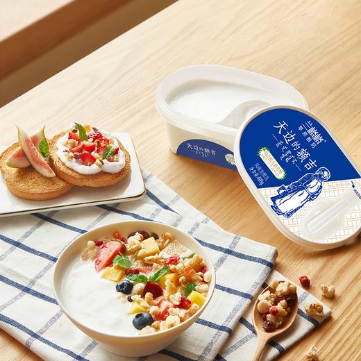 兰格格400g原味天边的额吉 酸奶 商品图0