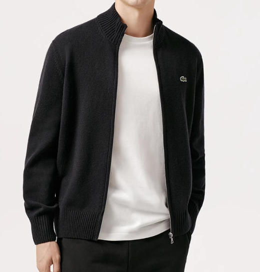 LACOSTE法国鳄鱼男毛衫AH5181-98031 商品图0
